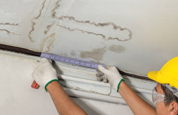 Reliable Sewage Cleanup contractor in Attleboro, MA by Water Damage Irwin